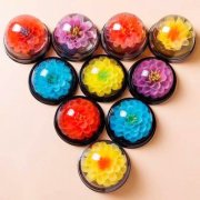 你听说过果冻花吗？还是可食用的(内含制作方法